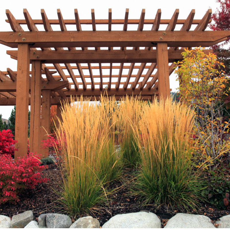 Pergola Builder Salt Lake City